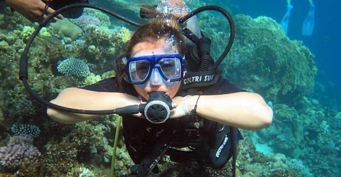 Sharm: Introductory Dive from the Shore & PADI Courses - Key Things to Know Before You Go