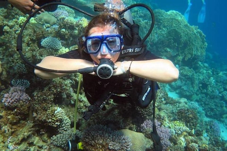 Sharm: Introductory Dive from the Shore & PADI Courses - Shore-Based Underwater Intro in Sharm: What You’re Really Buying