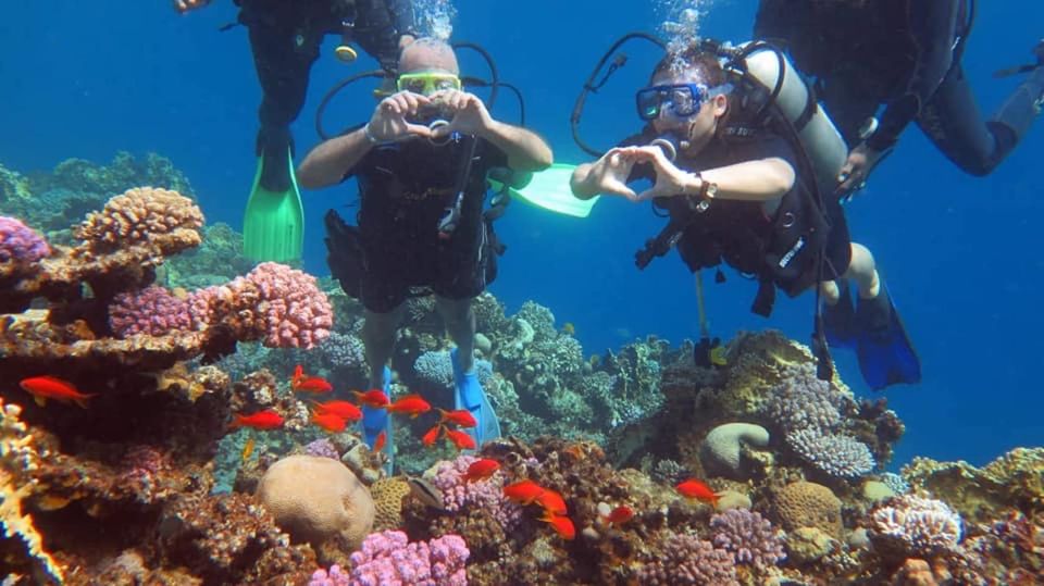Sharm to Dahab: Colored Canyon, Blue Hole, Qude Bike, Camels - Key Things You’ll Notice on This Sharm to Dahab Day