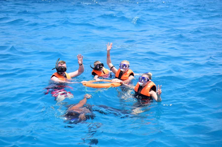 Sharm: Vip Snorkeling Cruise with international lunch - Morning logistics: the 8:30 marina start in Sharm