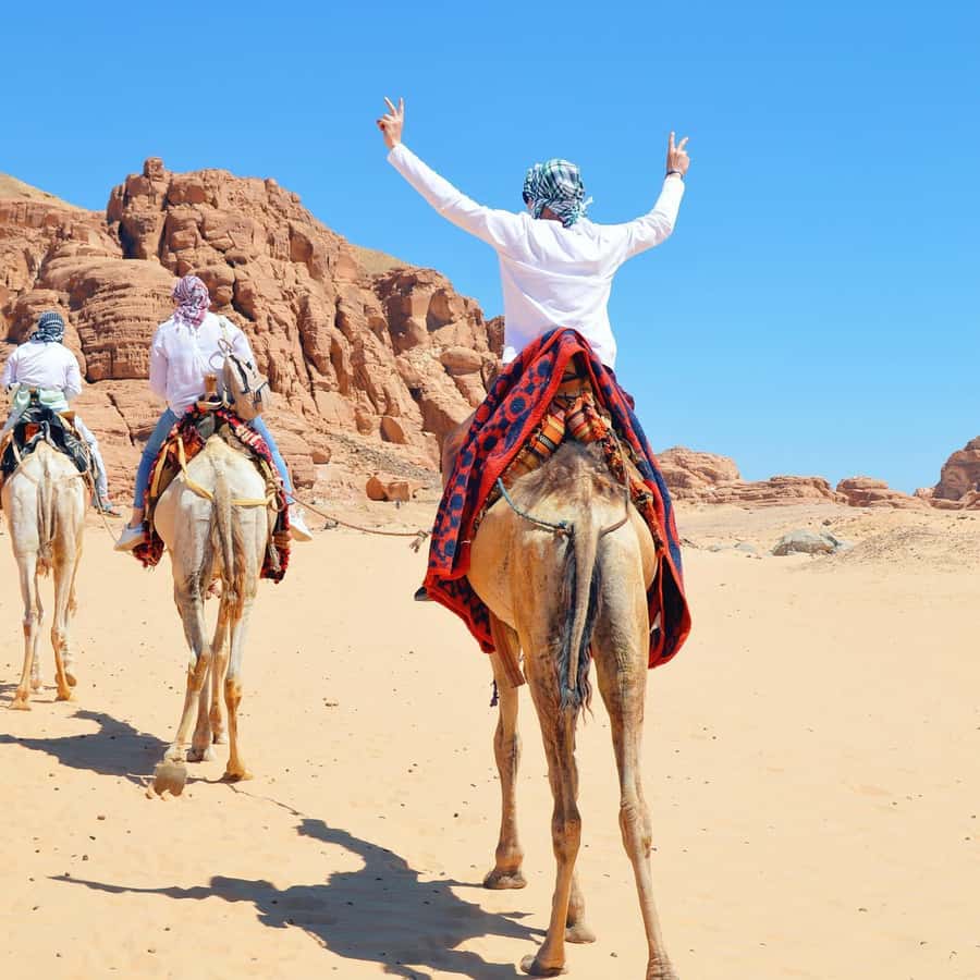 Sharm: Water Sports Adventure Day with Hotel Transfer - Glass-Bottom Boat: A Calm Hour for Reef Lovers