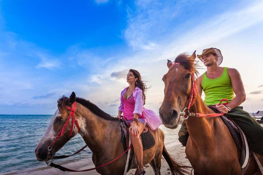 Soma Bay: Horse Riding Beach and Desert Tour With Transfer - Key takeaways before you go