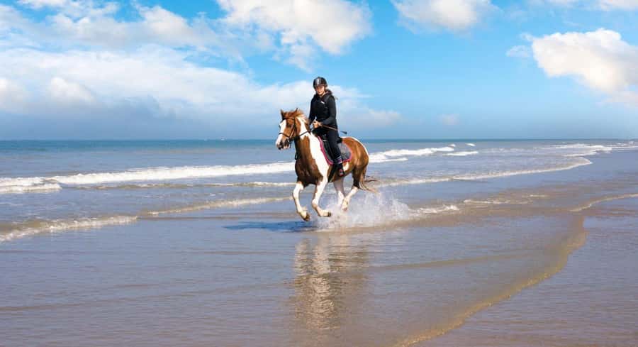 Soma Bay: Horse Riding Beach and Desert Tour With Transfer - Soma Bay Horse Riding: Why This Combo Works
