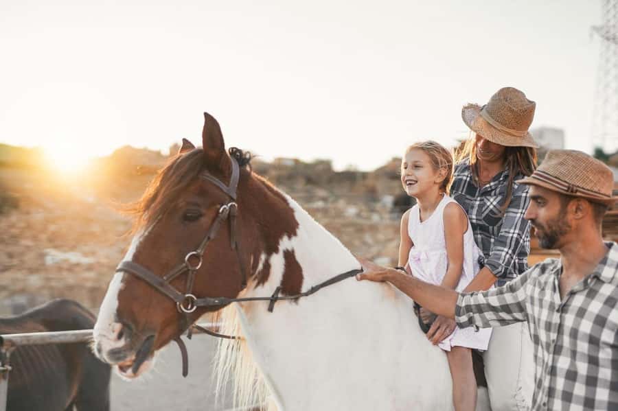 Soma Bay: Horse Riding Beach and Desert Tour With Transfer - The 2-Hour Ride: Coastline Beach to Desert Trails