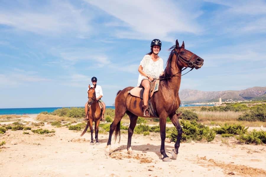 Soma Bay: Horse Riding Beach and Desert Tour With Transfer - Your Guide, Your Pace, and the Little Things That Matter