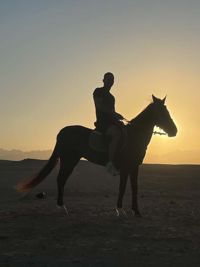 Soma Bay: Horse Riding Beach and Desert Tour With Transfer - What’s Included (So You’re Not Doing Math in the Heat)