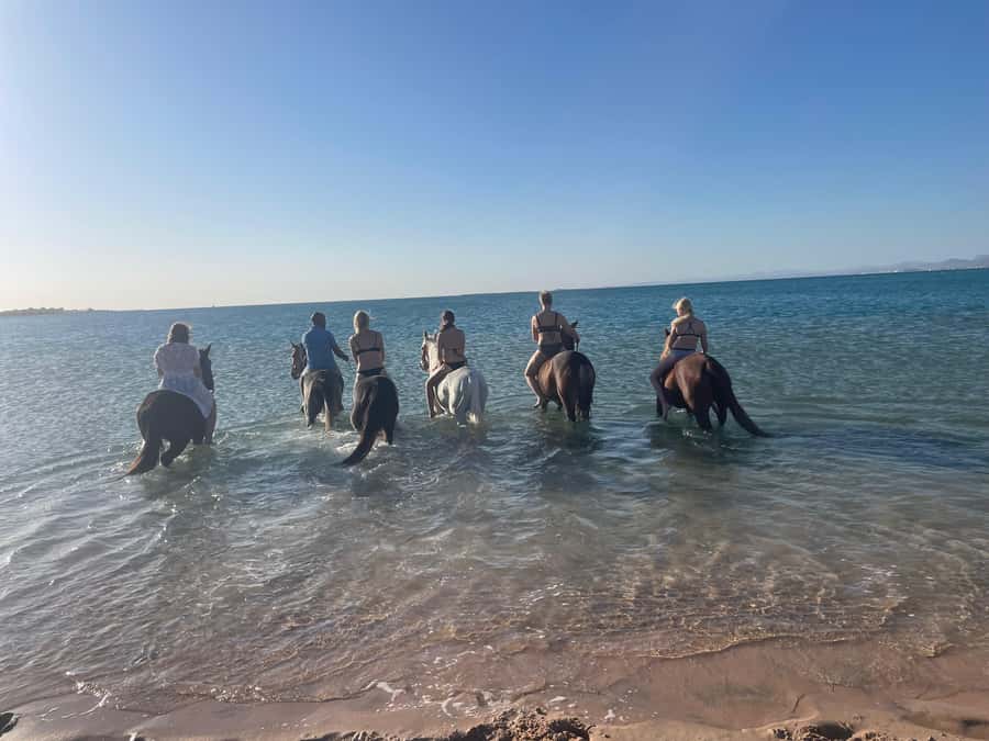 Soma Bay: Horse Riding Beach and Desert Tour With Transfer - Price and Logistics: Is $20 Good Value?