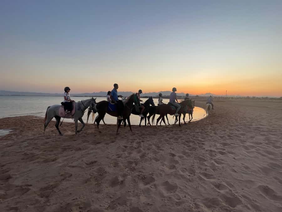 Soma Bay: Horse Riding Beach and Desert Tour With Transfer - Where This Tour Fits Best in Your Red Sea Plan