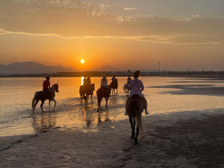 Soma Bay: Horse Riding Beach and Desert Tour With Transfer - What to Bring (So You Don’t Feel Underprepared)