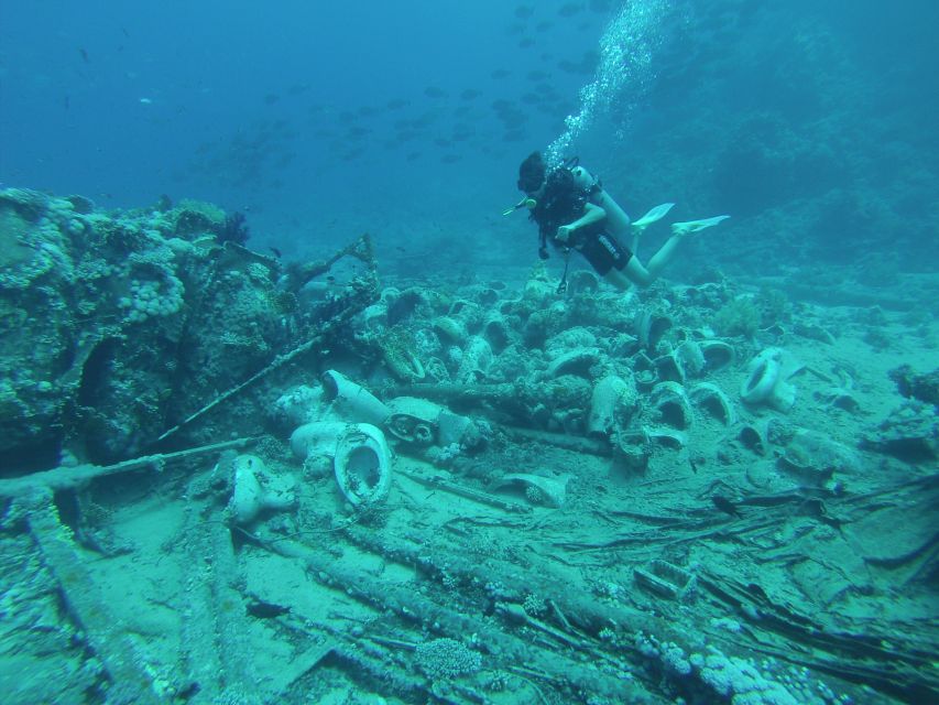 Tiran Island: Full-day Snorkeling, Diving Boat Trip - Key Points at a Glance