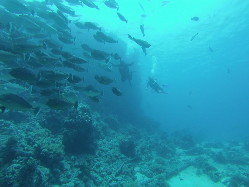 Tiran Island: Full-day Snorkeling, Diving Boat Trip - Lunch on Board: Simple, Solid Fuel for a Full-Water Day