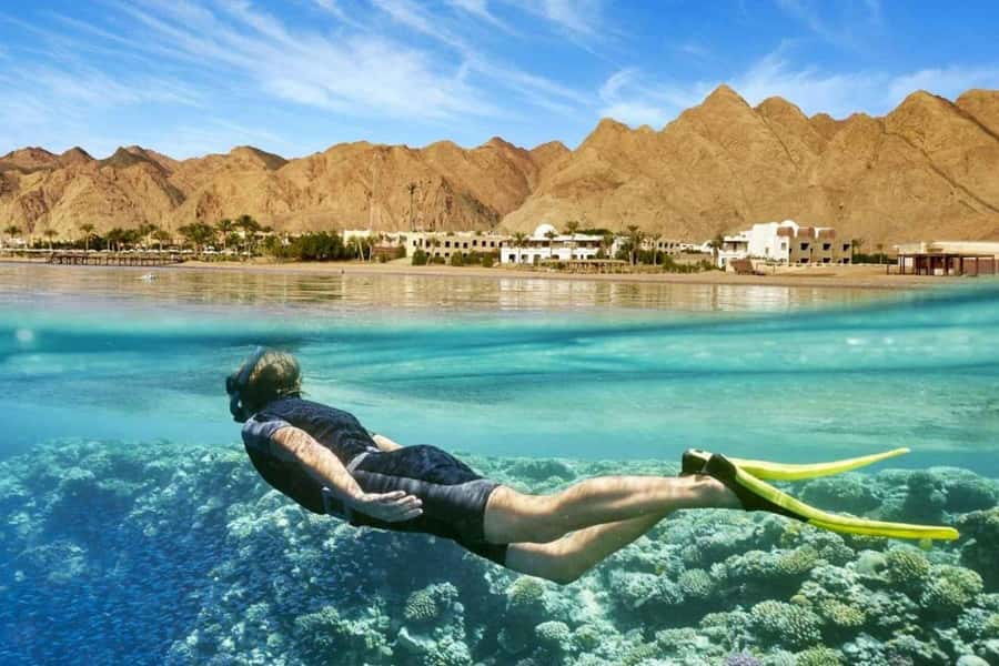 Top Day Tour To Red Sea El Ain Sokhna From Cairo - Key highlights at a glance