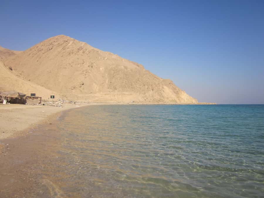 Top Day Tour To Red Sea El Ain Sokhna From Cairo - Price and value: what $100 per person really covers